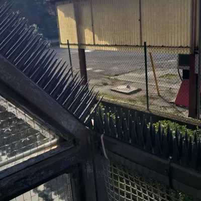 Gai Chống Chim Bồ Câu/Mèo Dài (Long Anti-Pigeon/Cats Spikes)