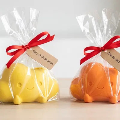 “SkyPot” – Chậu mây dễ thương kiêm khay sắp xếp bàn làm việc