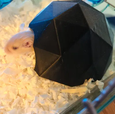 Gerbil Garage – Chòi trú ấm cho Gerbil