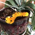 Sâu bướm khớp nối dễ thương & thân thiện (Articulated Caterpillar) - Thumbnail 2