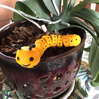 Sâu bướm khớp nối dễ thương & thân thiện (Articulated Caterpillar)
