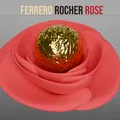 Ferrero Rocher Rose – Hoa hồng trưng bày chocolate Ferrero Rocher - Thumbnail 1