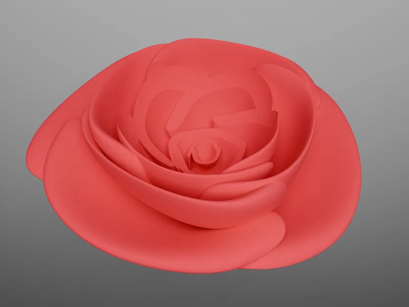 Ferrero Rocher Rose – Hoa hồng trưng bày chocolate Ferrero Rocher - Image 3