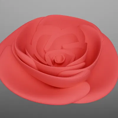 Ferrero Rocher Rose – Hoa hồng trưng bày chocolate Ferrero Rocher