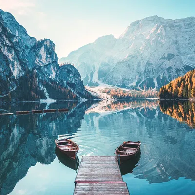 Test ring (vòng thử nghiệm)