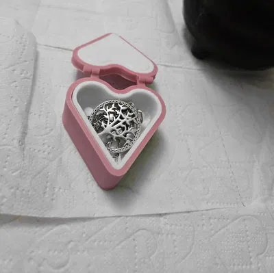 Hộp Quà Trái Tim (Heart Gift Box)