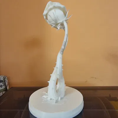 Đèn 2 Bông Hồng Đan Xen (2 Intertwined Roses – Lamp)