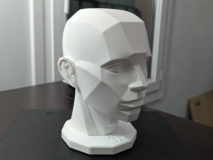 Asaro Head (mô hình đầu Asaro) in 3D - Image 1