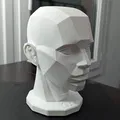 Asaro Head (mô hình đầu Asaro) in 3D - Thumbnail 1