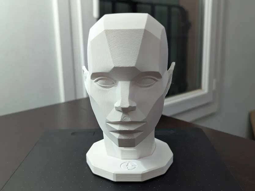 Asaro Head (mô hình đầu Asaro) in 3D - Image 2