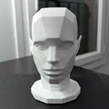 Asaro Head (mô hình đầu Asaro) in 3D - Thumbnail 2