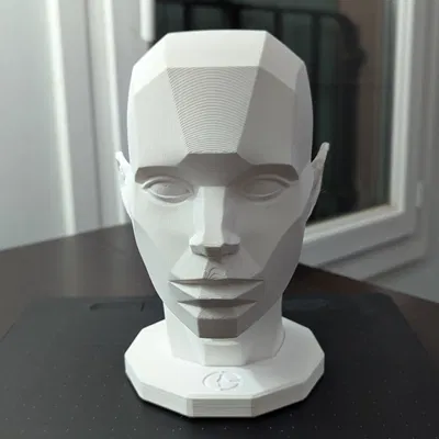 Asaro Head (mô hình đầu Asaro) in 3D