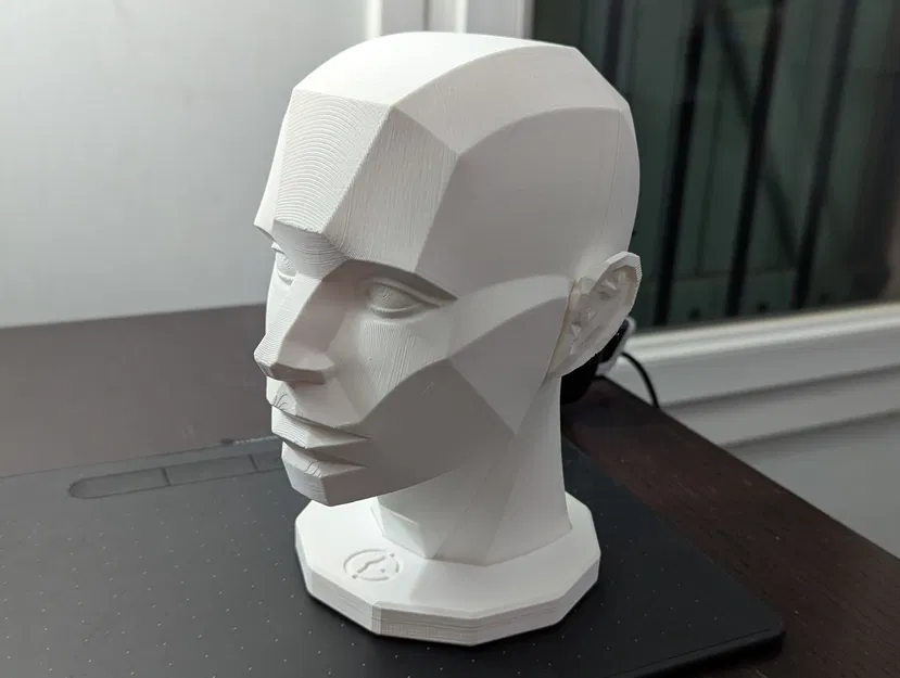 Asaro Head (mô hình đầu Asaro) in 3D - Image 3