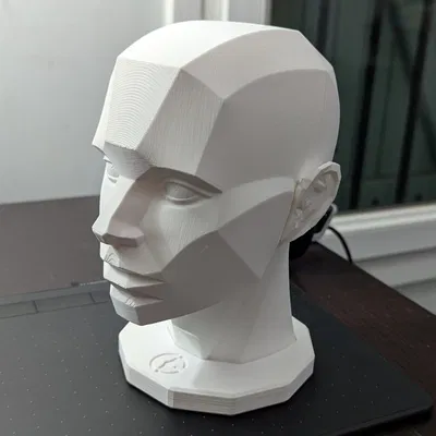 Asaro Head (mô hình đầu Asaro) in 3D