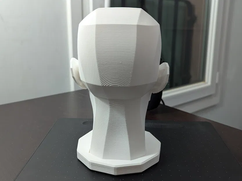 Asaro Head (mô hình đầu Asaro) in 3D - Image 5