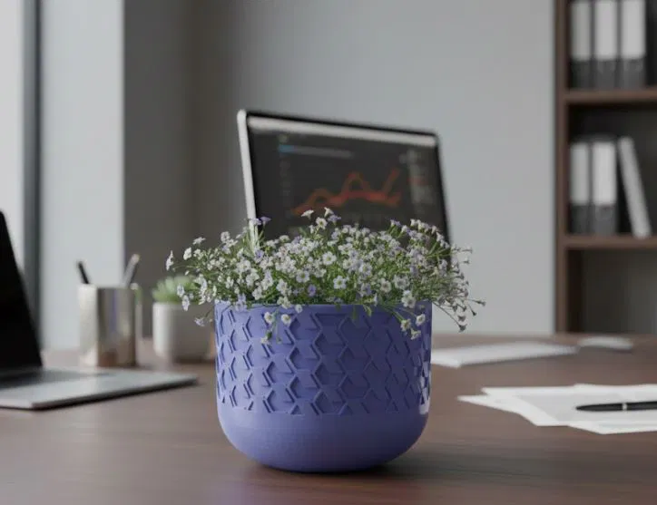 Cuenco - Macetero / Bowl - Planter (Chậu cây / Tô trang trí) - Image 1