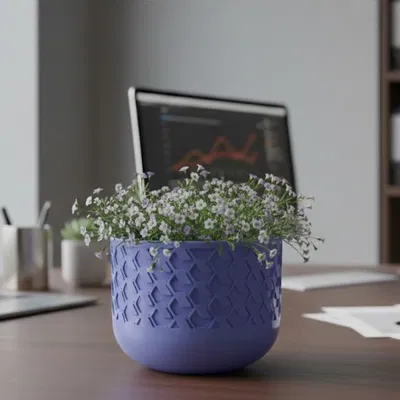 Cuenco - Macetero / Bowl - Planter (Chậu cây / Tô trang trí)