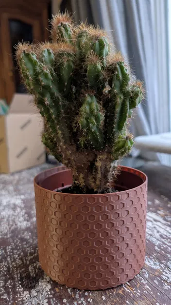 Chậu Honeycomb (Vừa chậu 10cm) - 2 chiều cao - Image 1