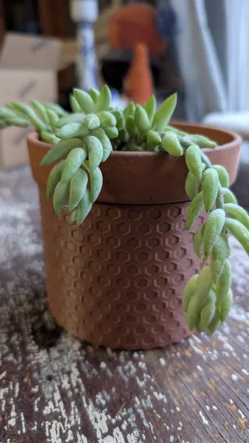 Chậu Honeycomb (Vừa chậu 10cm) - 2 chiều cao - Image 2