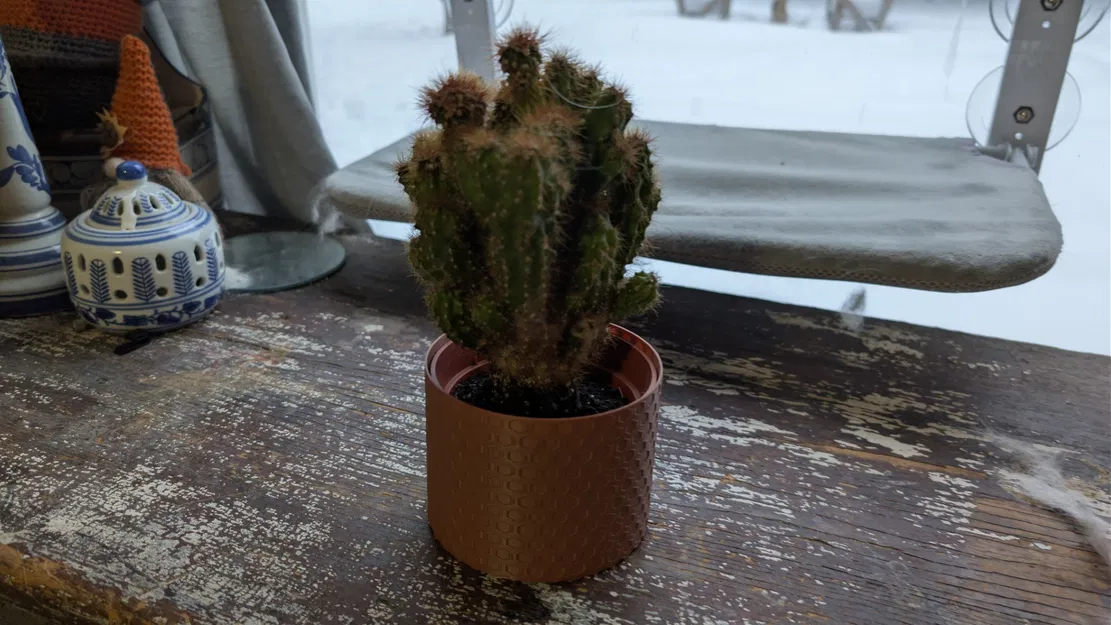 Chậu Honeycomb (Vừa chậu 10cm) - 2 chiều cao - Image 8