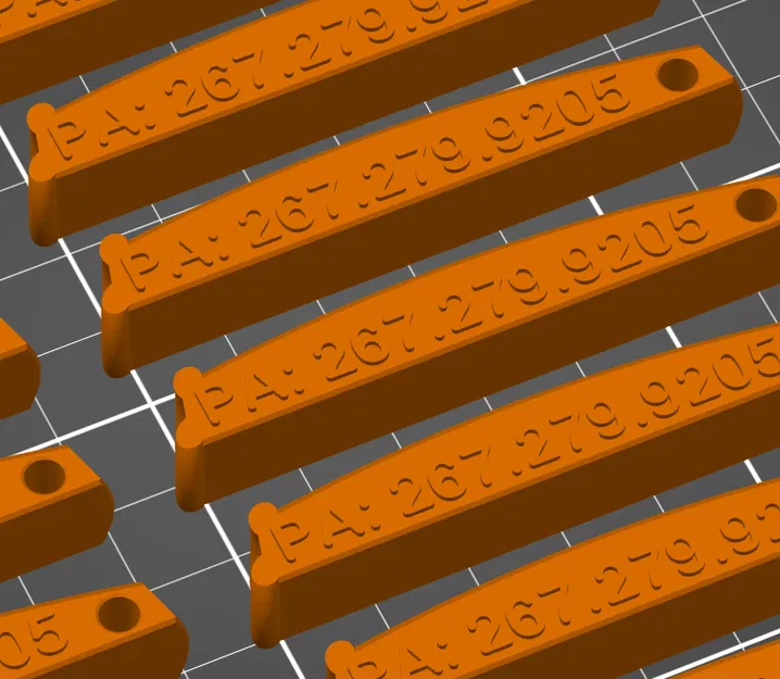 Còi F ICE – Bản Philadelphia, PA - Image 2