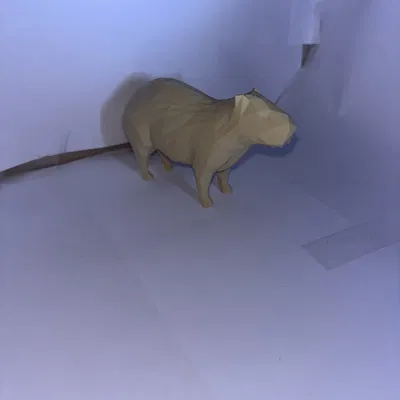 Capybara low poly (mô hình 3D)