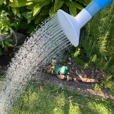 Đầu vòi bình tưới (đường kính 28mm)