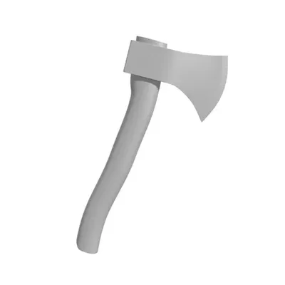 Rìu thường và rìu tactical (Normal and Tactical Axe)