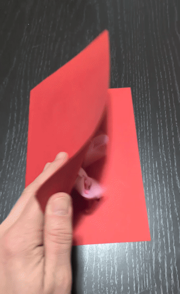 Trái Tim Lật Phập Phồng – Bất Ngờ Ngày Valentine