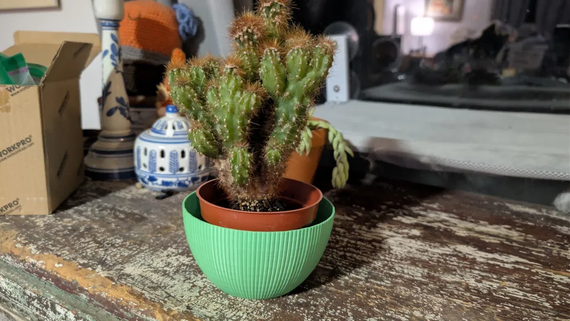 Chậu trồng cây dạng bát vân kẻ sọc (12cm x 8.5cm) - Image 9