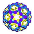 STEWART STAR DODECAHEDRAL POLYTOROID 3 - Thumbnail 2