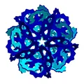 DA VINCI ICOSAHEDRAL POLYLINK 1 - Thumbnail 1