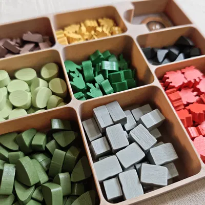 Insert Skara Brae (Organizer cho board game Skara Brae)