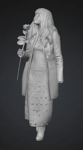 Hành Trình Hoa Hồng Mùa Đông (Winter Rose Journey) - Image 1