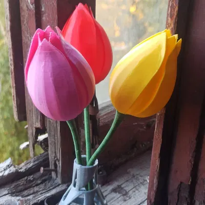 Tulip trên cành (nụ) – model 3D sẵn sàng 3D print