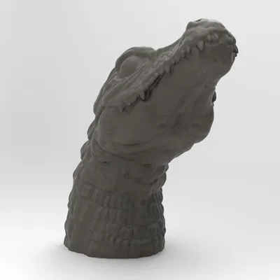 Tác phẩm điêu khắc Đầu Cá Sấu (Crocodile Head sculpture)