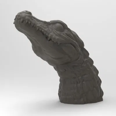 Tác phẩm điêu khắc Đầu Cá Sấu (Crocodile Head sculpture)