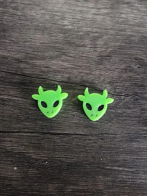 Hạt Kansi Bò Ngoài Hành Tinh (Cho lễ hội Force Fields) - Image 2