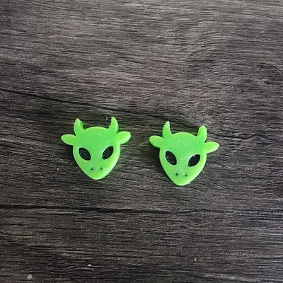 Hạt Kansi Bò Ngoài Hành Tinh (Cho lễ hội Force Fields)