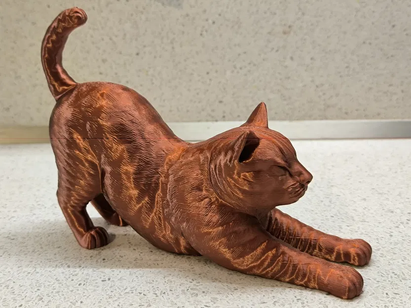 Mèo Vươn Mình (Stretching Cat) - Image 1