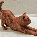 Mèo Vươn Mình (Stretching Cat) - Thumbnail 1