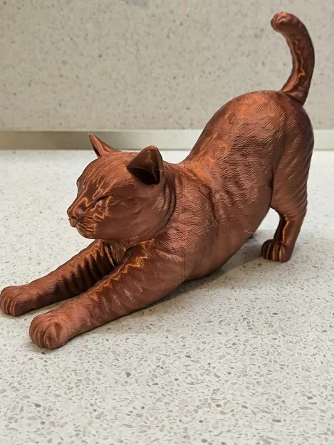 Mèo Vươn Mình (Stretching Cat) - Image 2