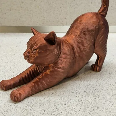 Mèo Vươn Mình (Stretching Cat)