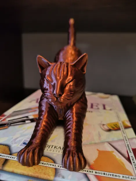 Mèo Vươn Mình (Stretching Cat) - Image 3