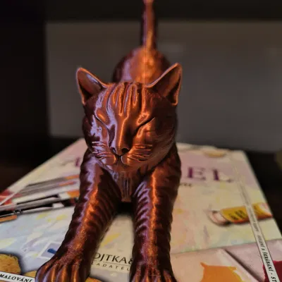 Mèo Vươn Mình (Stretching Cat)