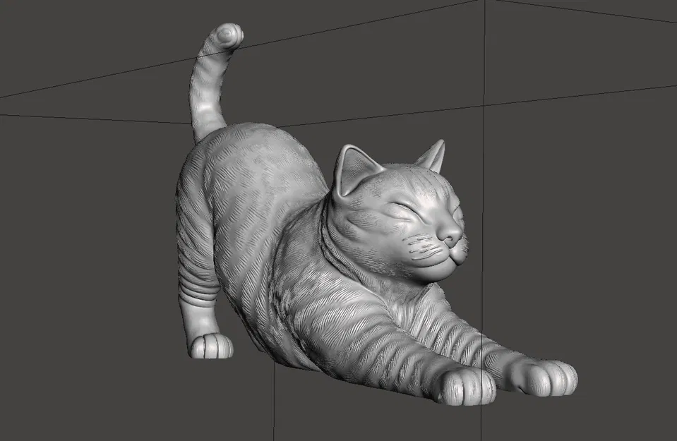 Mèo Vươn Mình (Stretching Cat) - Image 4