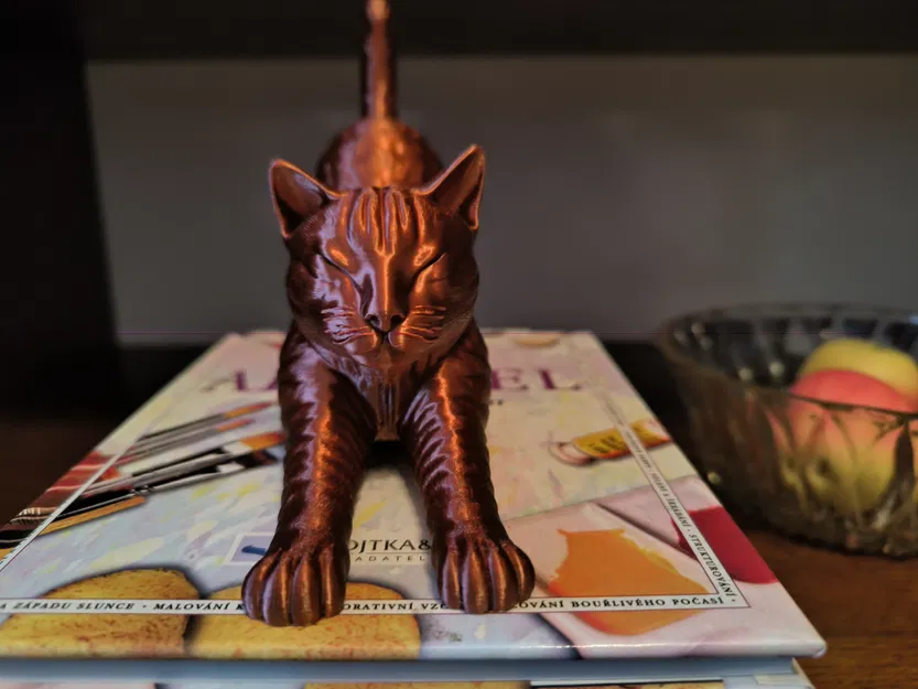 Mèo Vươn Mình (Stretching Cat) - Image 5