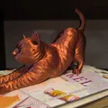 Mèo Vươn Mình (Stretching Cat) - Thumbnail 6