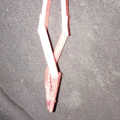 Pinzas print in place