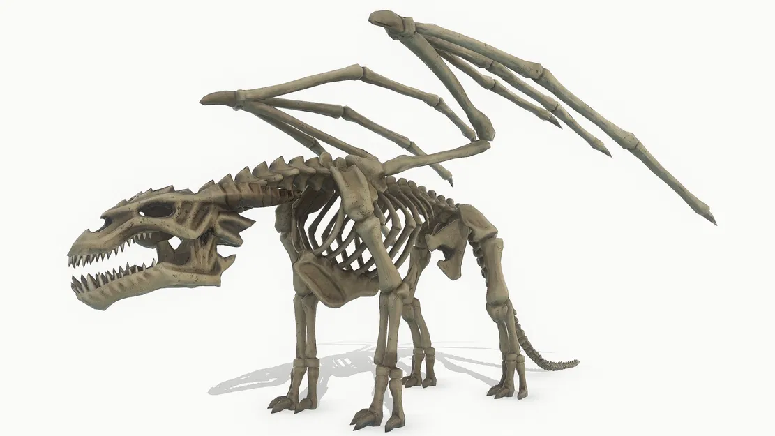 Bộ xương rồng (Dragon Skeleton) chi tiết cao, texture 4K - Image 2